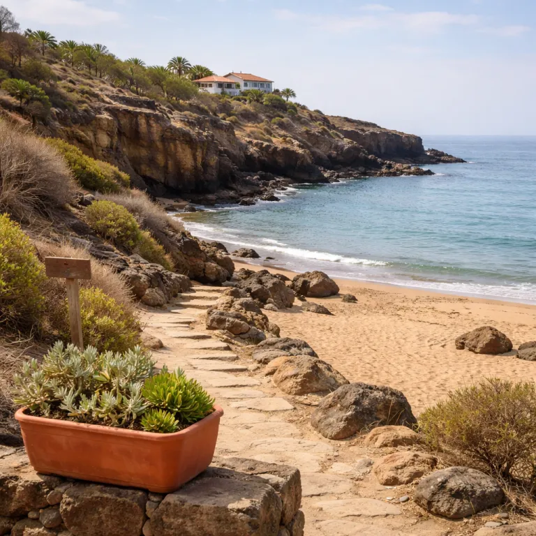 Météo à Tenerife en février : climat, plages et idées de voyage hivernal