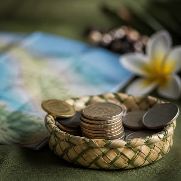 Monnaie en Nouvelle Calédonie : bien gérer votre budget en franc Pacifique