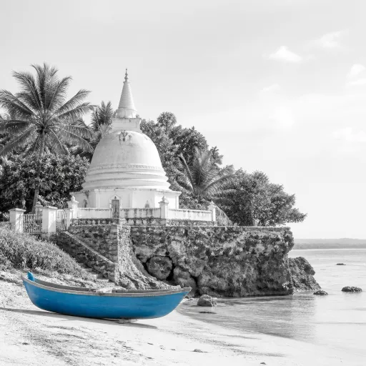 Sri Lanka : où aller pour un voyage élégant entre plages, temples et nature sauvage